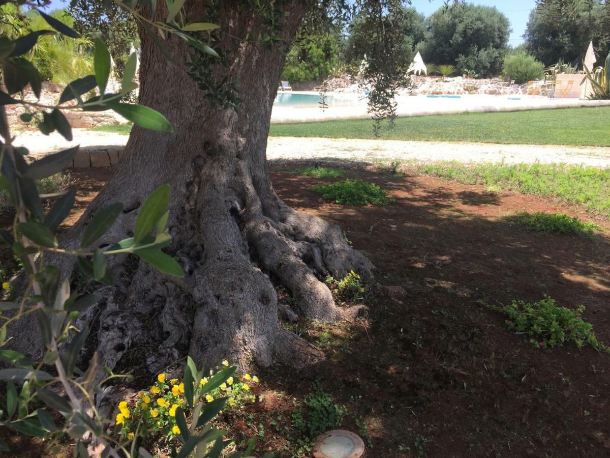 I Love Trullo - Country Boutique Apartments - Villa Laura Ostuni Luaran gambar